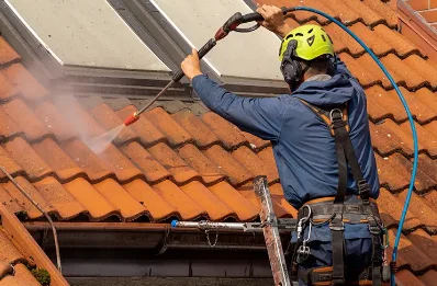Démoussage et hydrofuge de toiture à Duzey